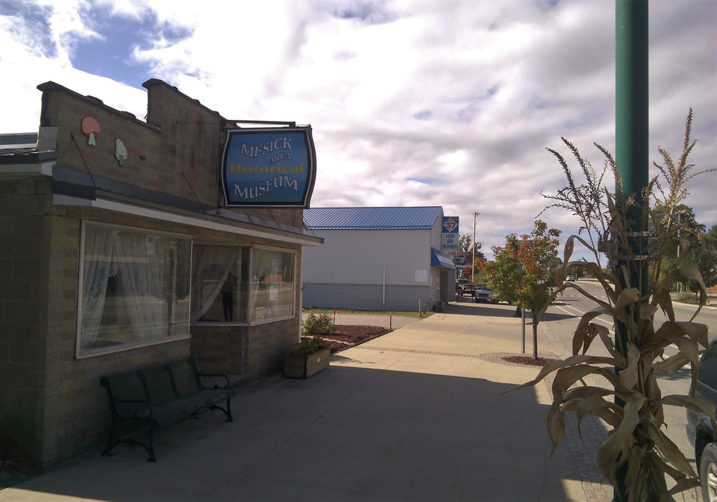 Mesick Area Historical Museum
