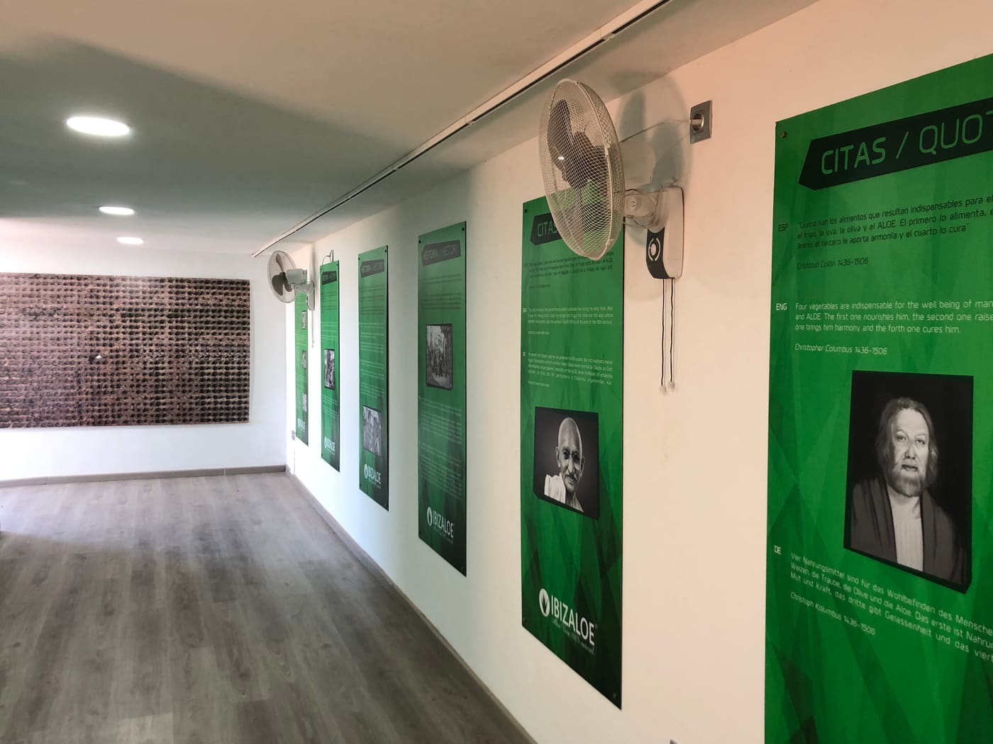 Aloe Vera Ibiza Museum