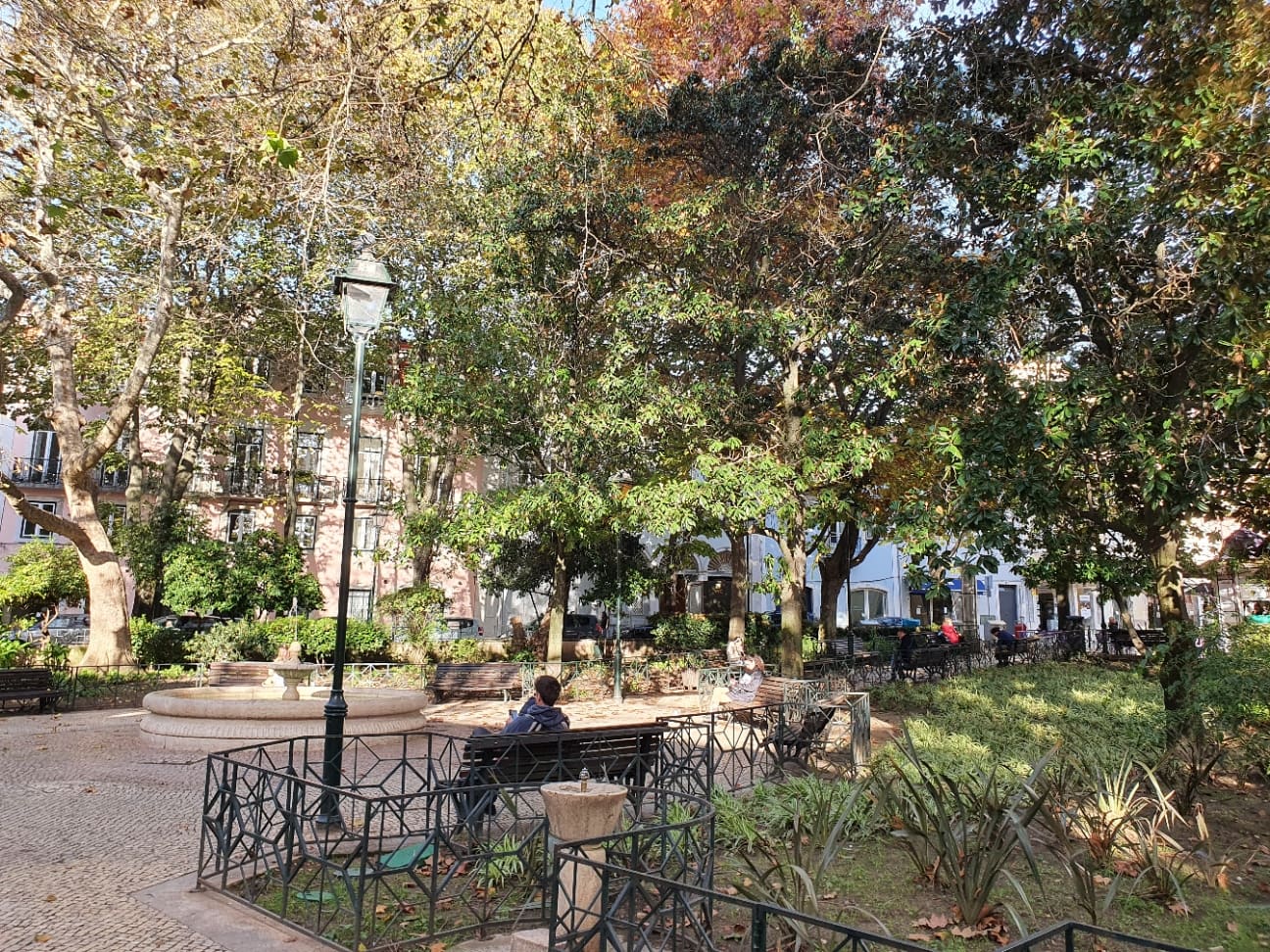 Jardim Fialho de Almeida