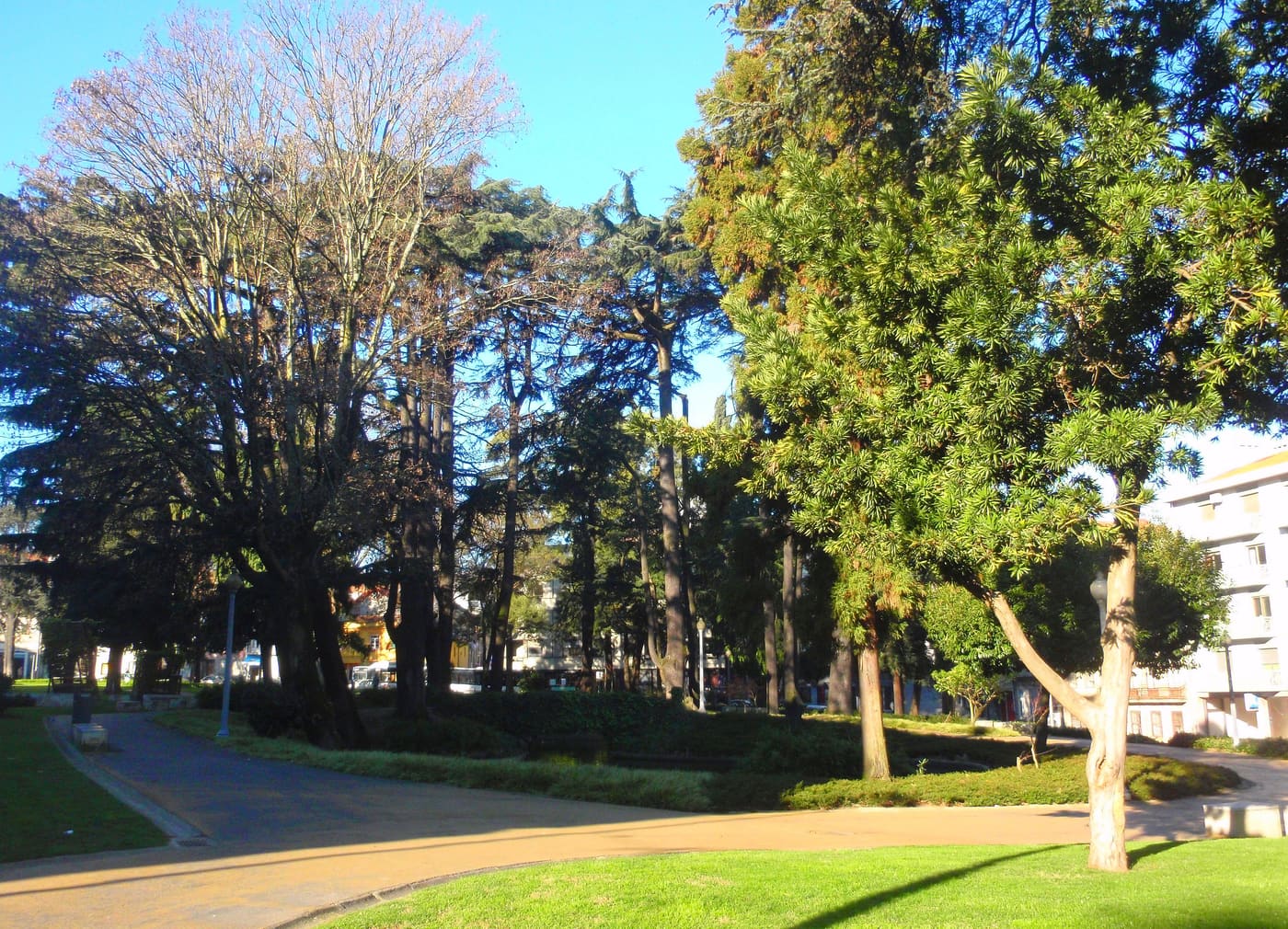 Jardim do Carregal