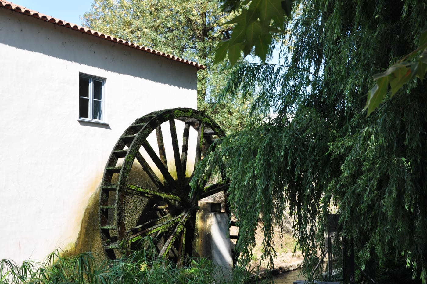 Moinho de Papel de Leiria