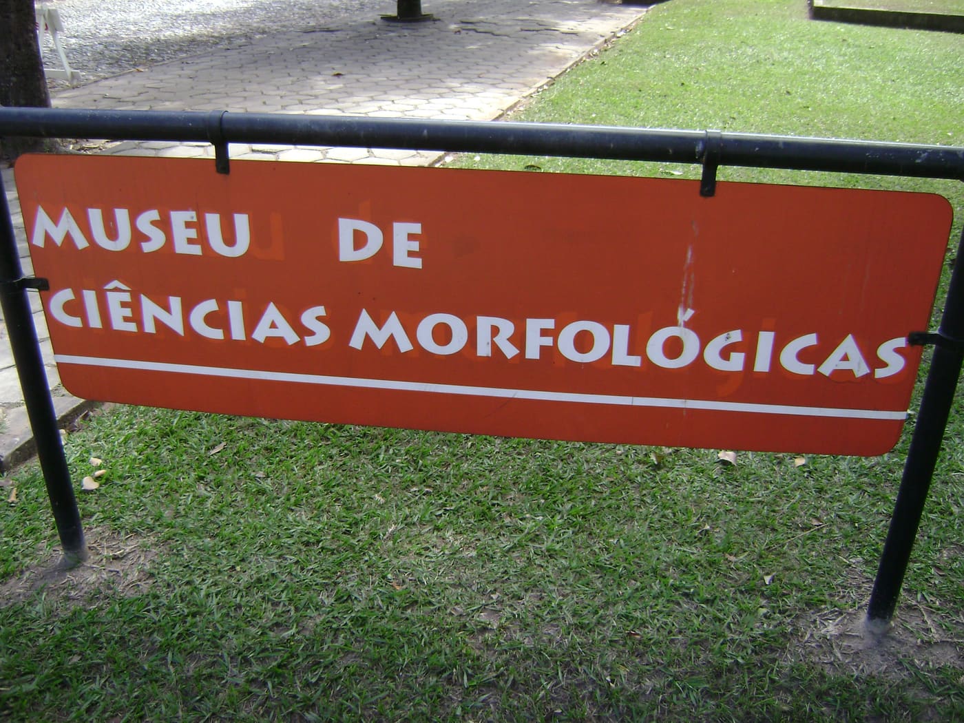 UFMG Morphological Sciences Museum