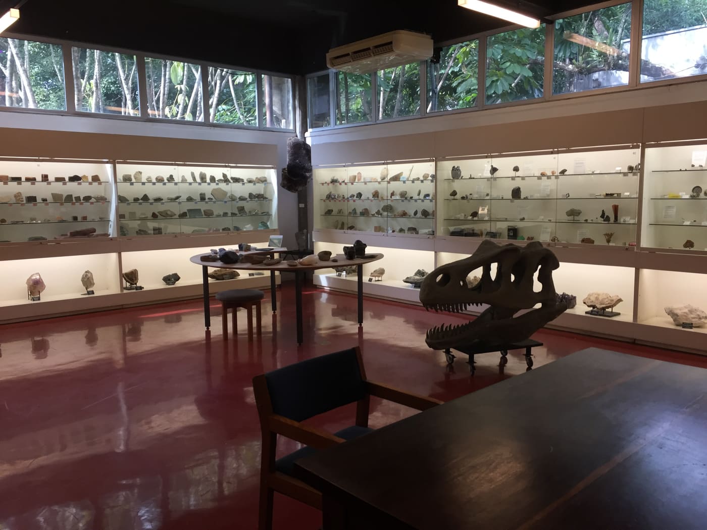 Geosciences Museum at the Institute of Geosciences of the University of São Paulo