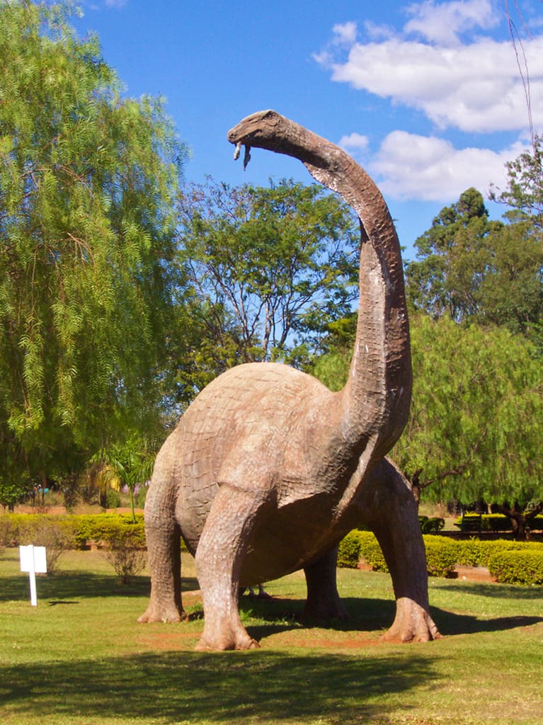 Dinosaur Museum