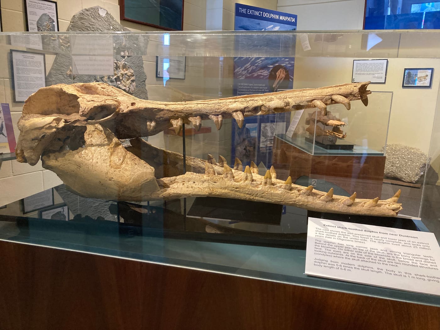 Vanished World Centre