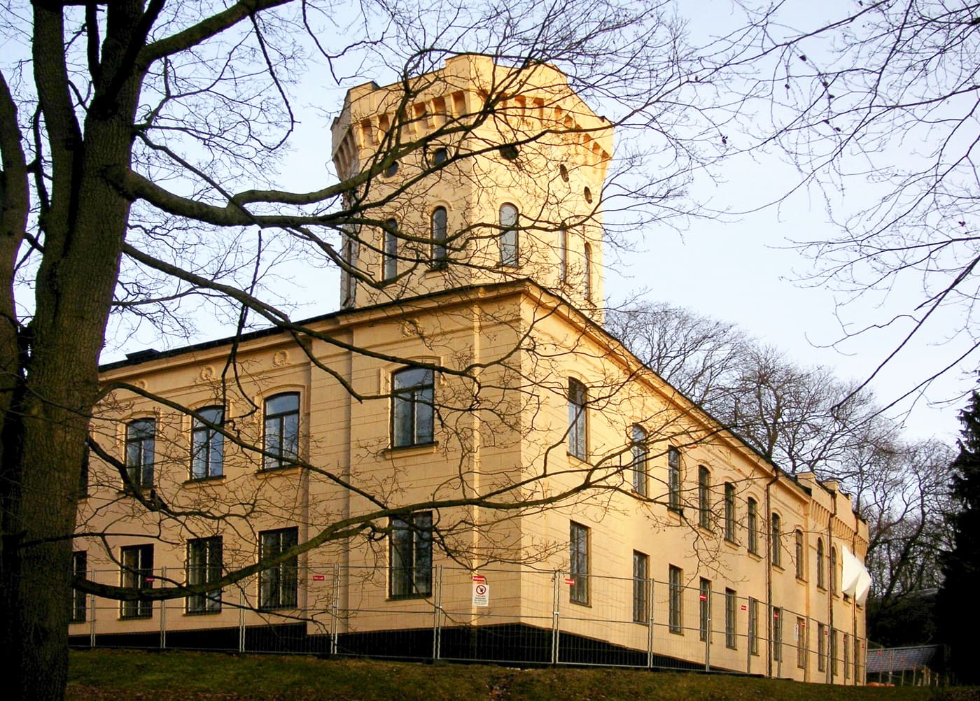 Skogsinstitutet