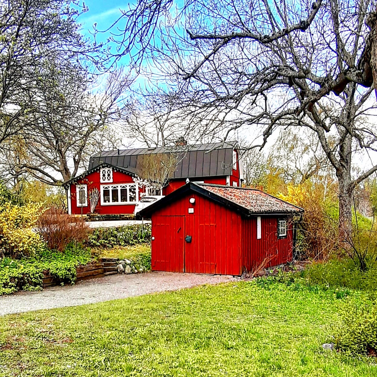 Johannisberg, Djurgården