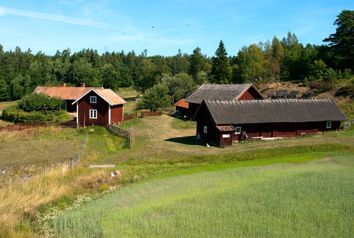 Långmaren