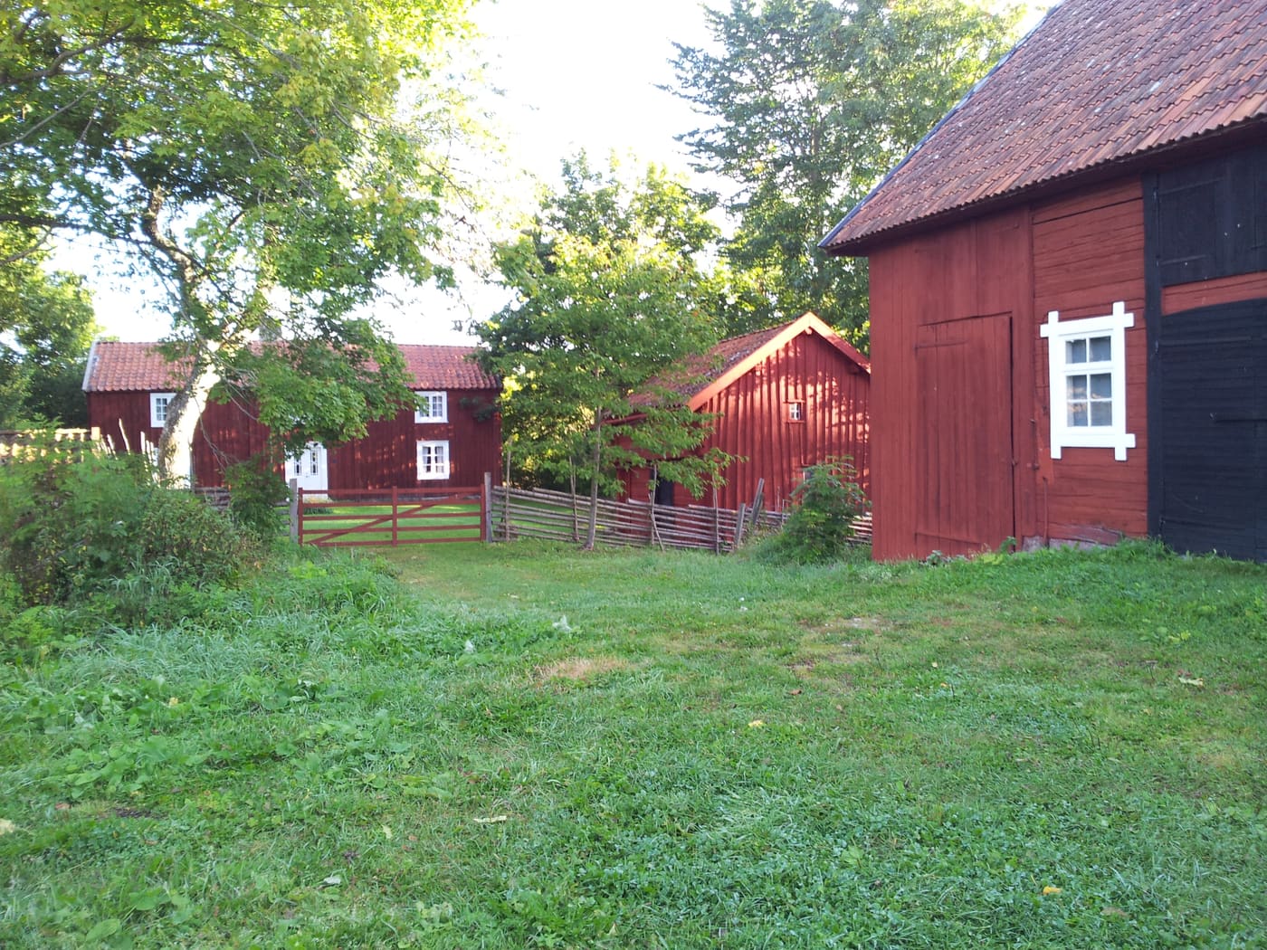 Nyebogården