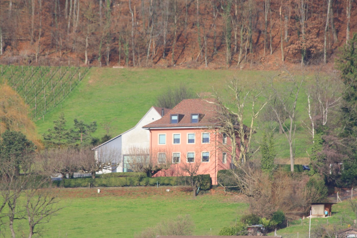 residential building of the Fährlilee vineyard with barn and washhouse