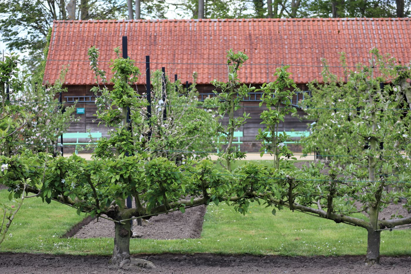Museumtuin van Gaasbeek