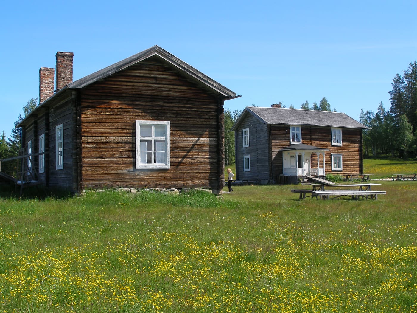 Rismyrliden
