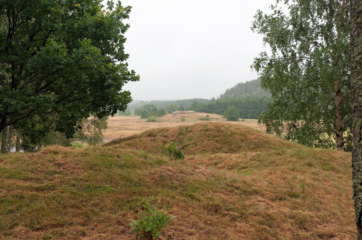 Stora Kungsladugården