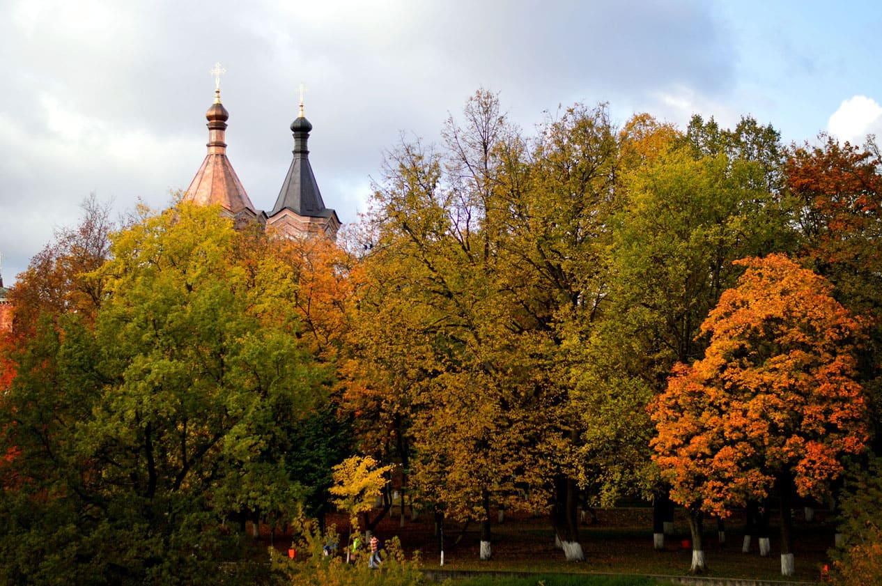 City Garden, Luga