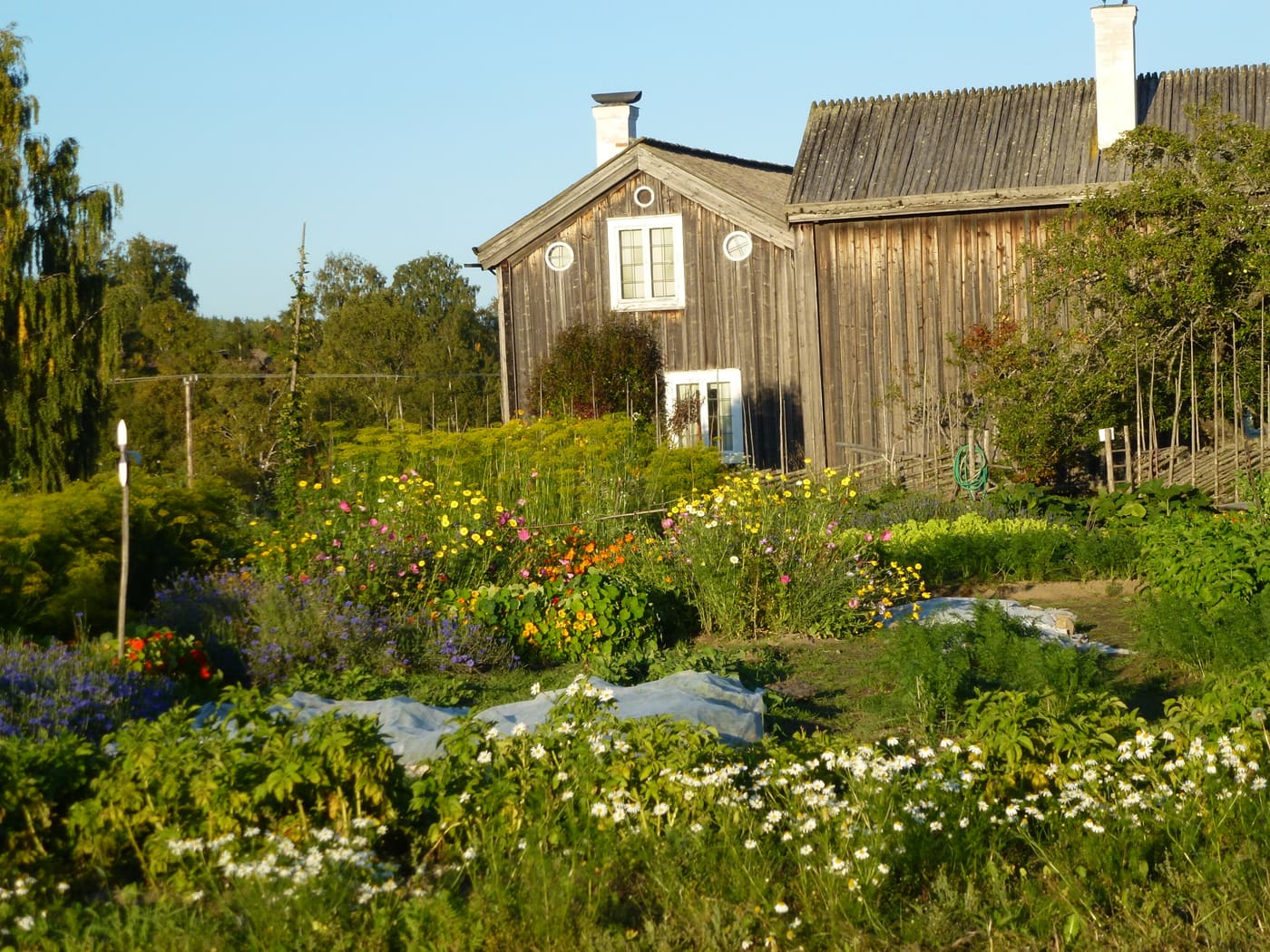 Ystegårn in Hillsta