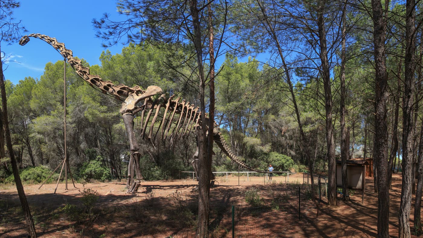 Musée Parc des dinosaures et de la préhistoire