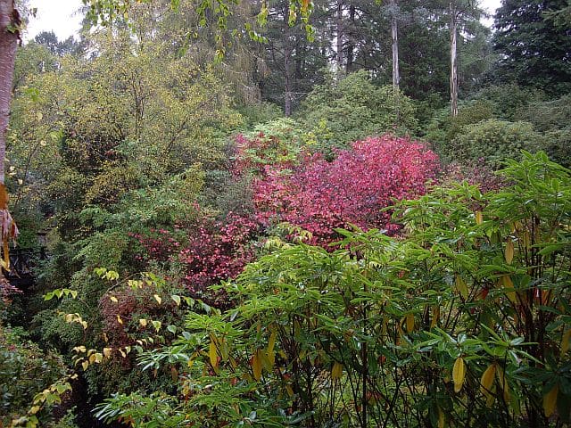 Crarae Gardens