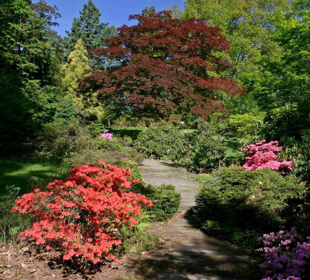 Arboretum Nový Dvůr