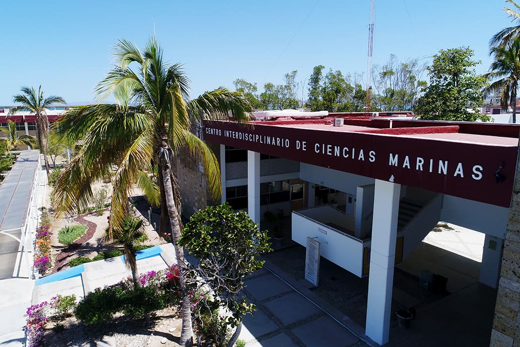 Interdisciplinary Centre of Marine and Environmental Research