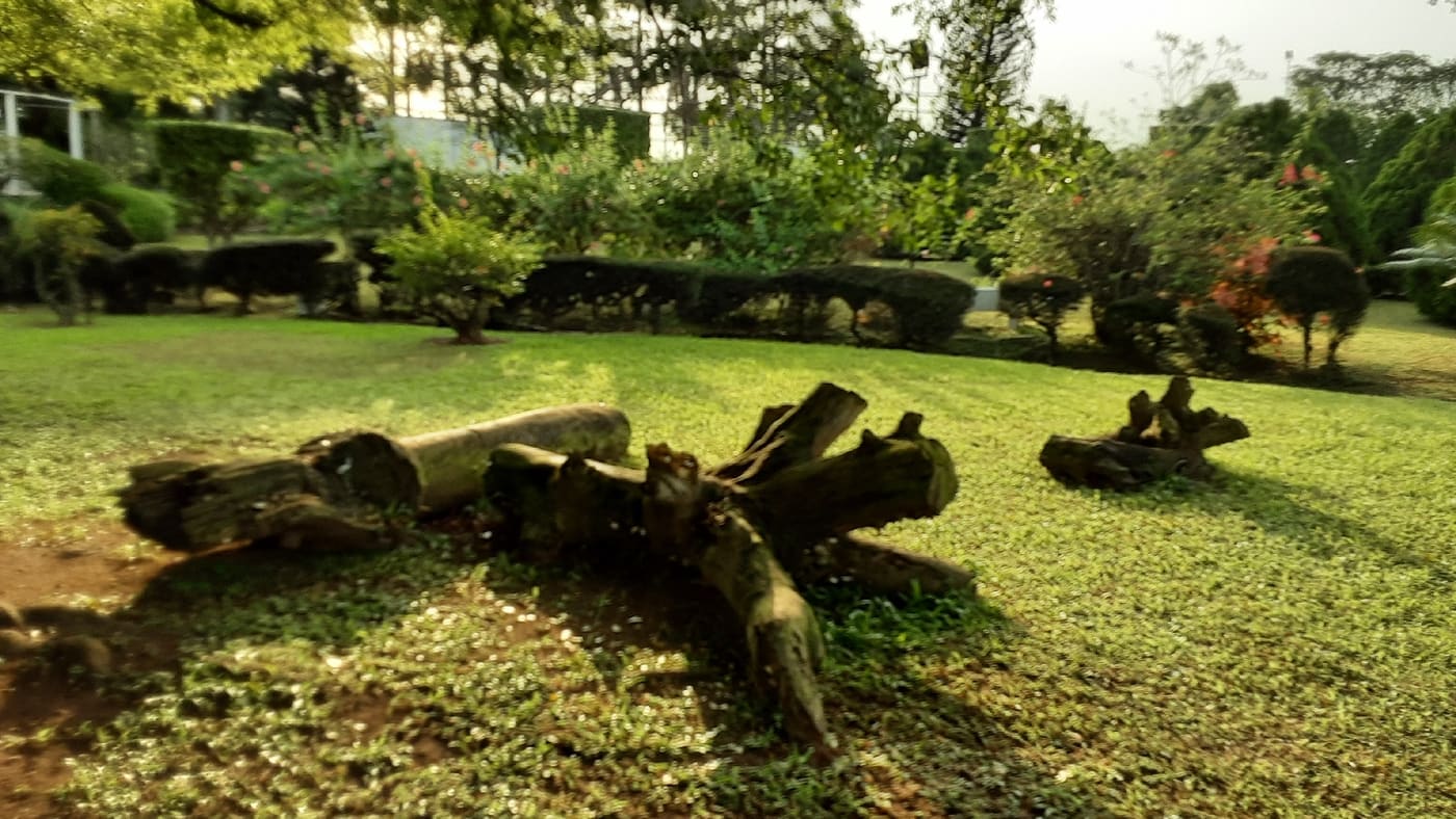 Jhalobia Recreation Park and Gardens