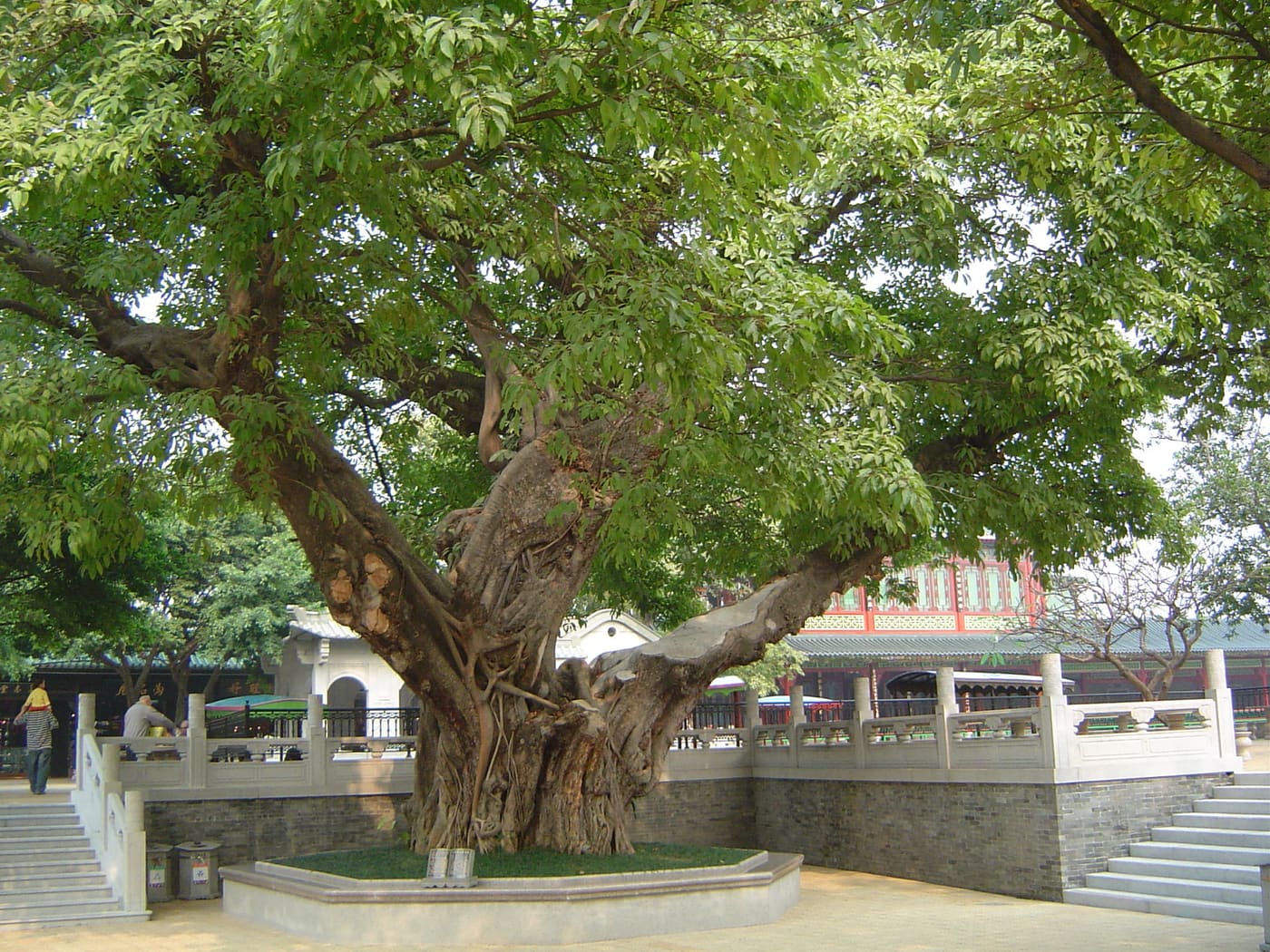 Baomo Garden