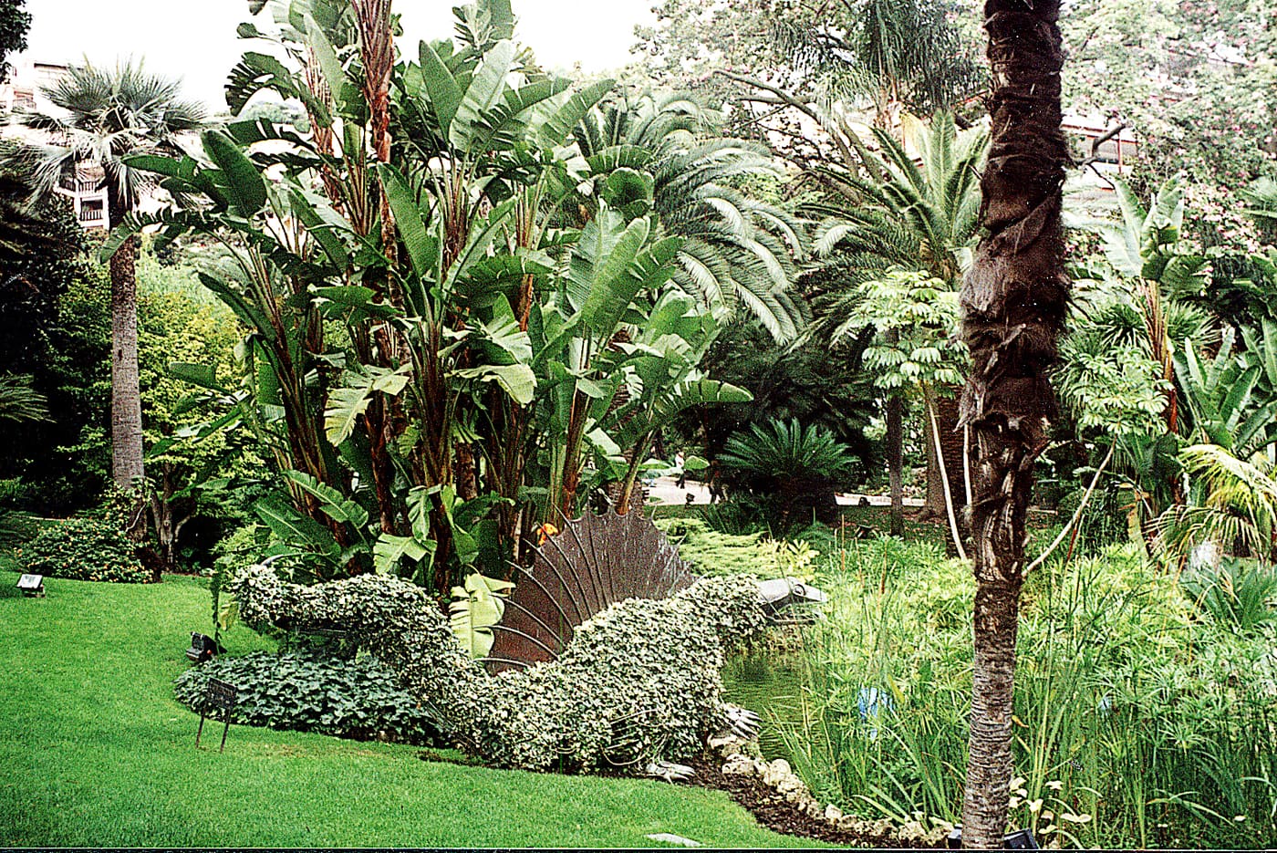 Little Africa Gardens