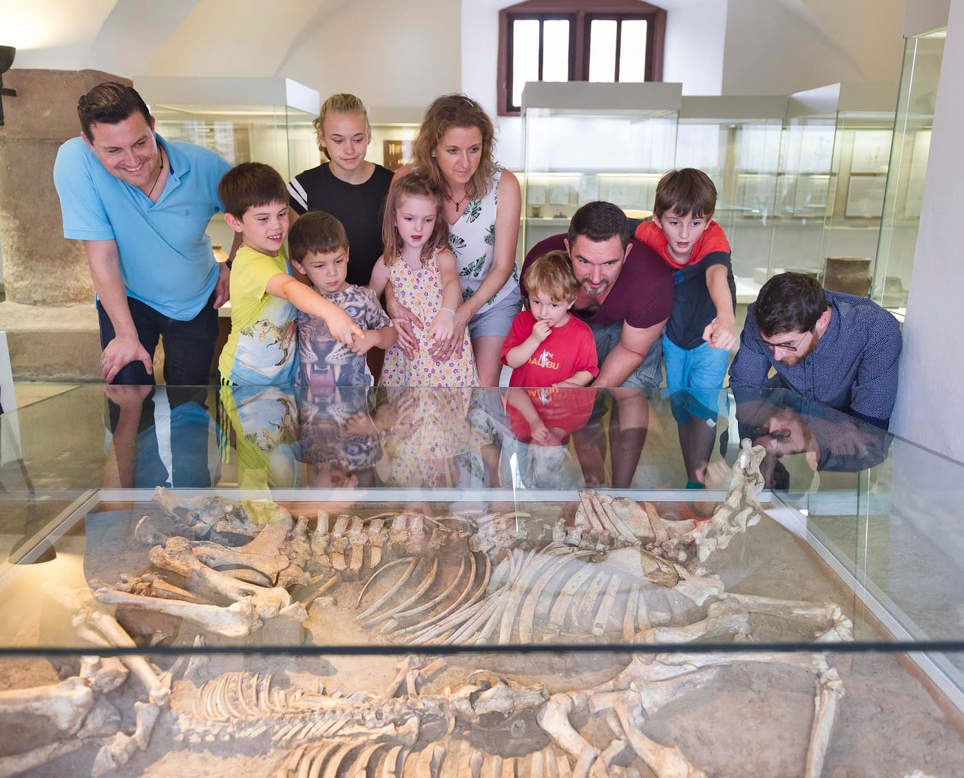 Lower Franconian Museum