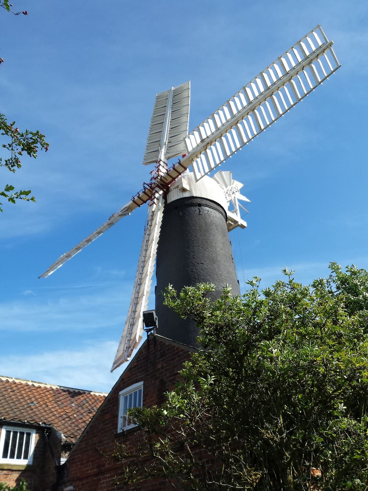 The Stewart Museum