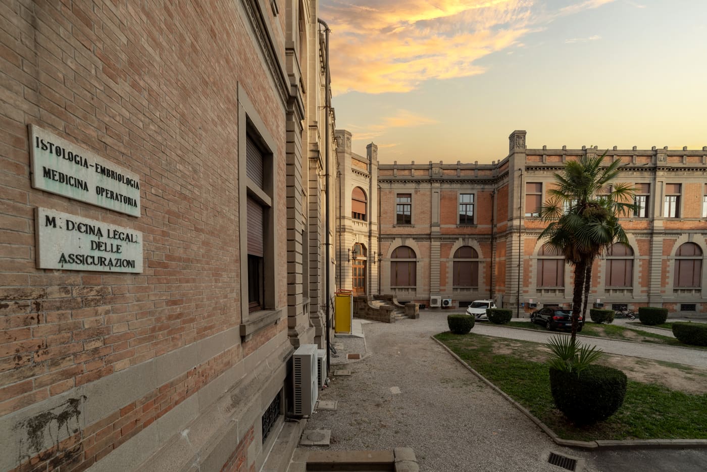Complex Anatomical Institutes