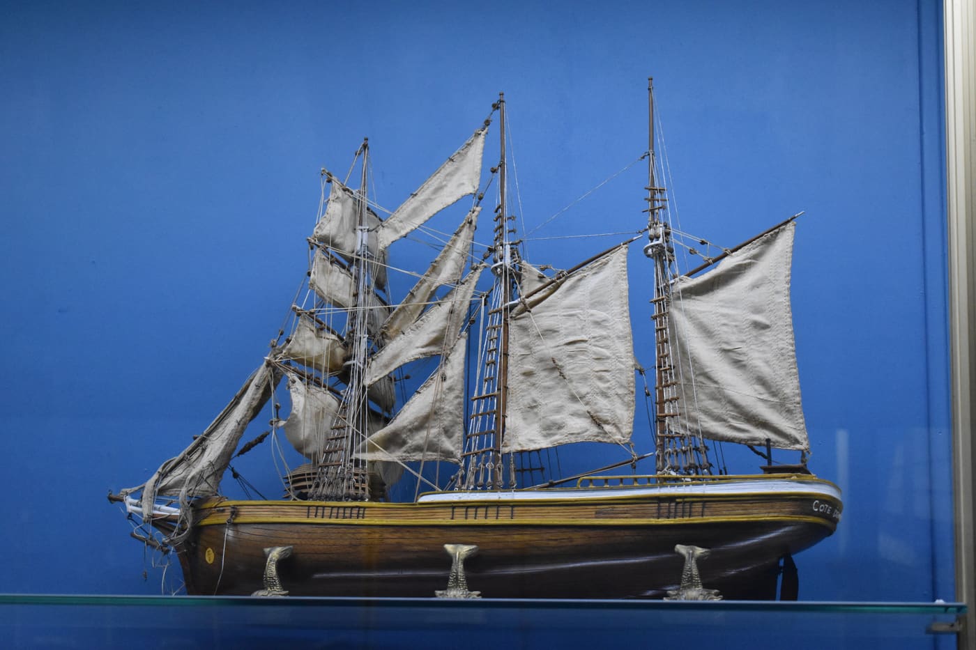 Musée de la Mer et de l'Ecologie