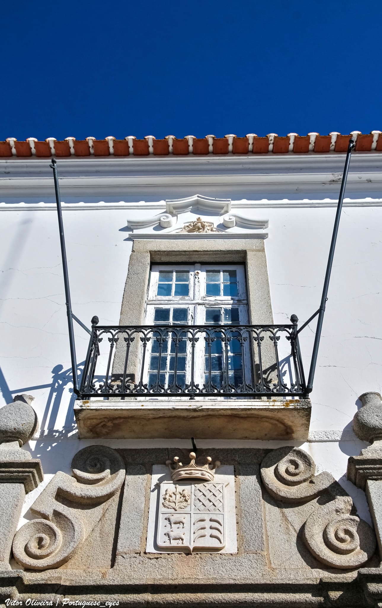 Palácio Visconde Olivã e Jardins