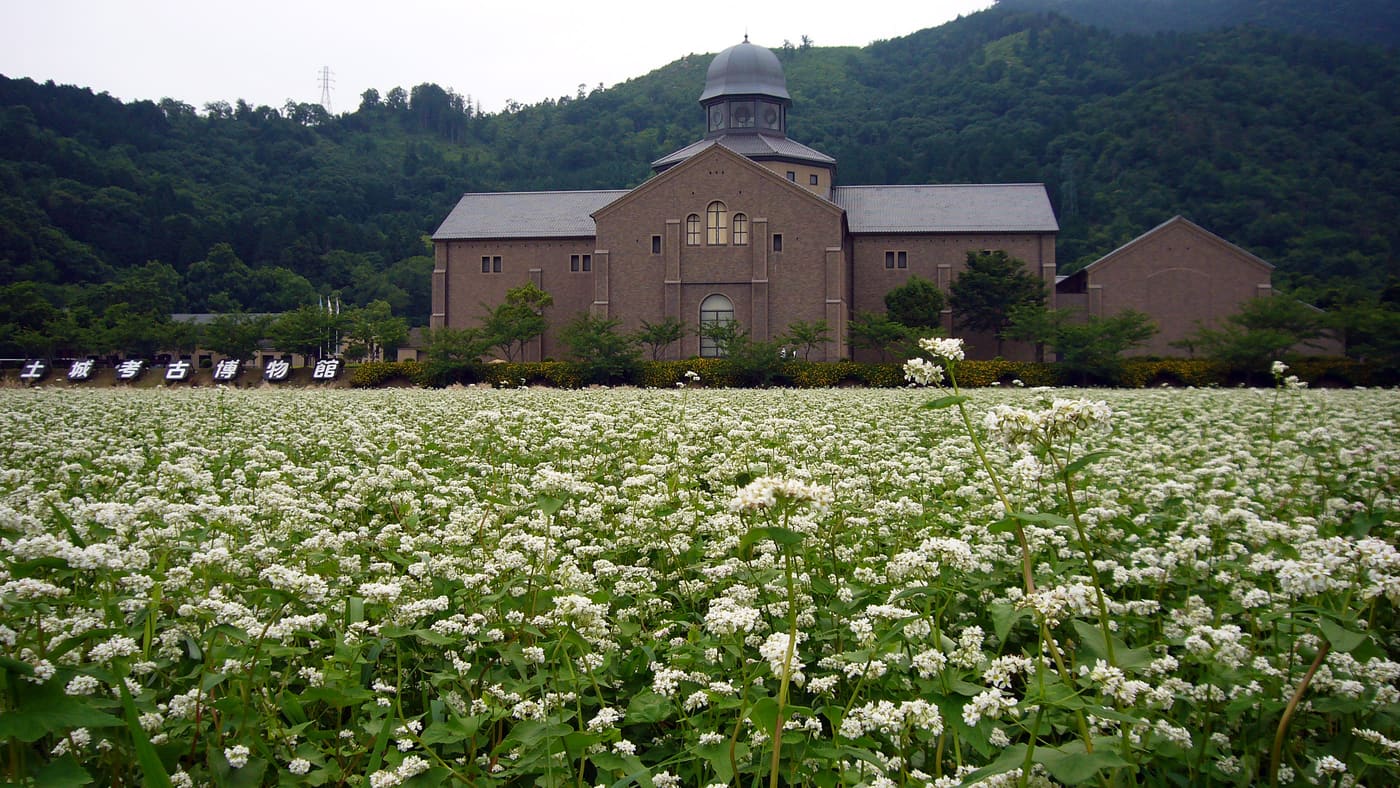 Shiga Prefectural Azuchi Castle Archaeological Museum
