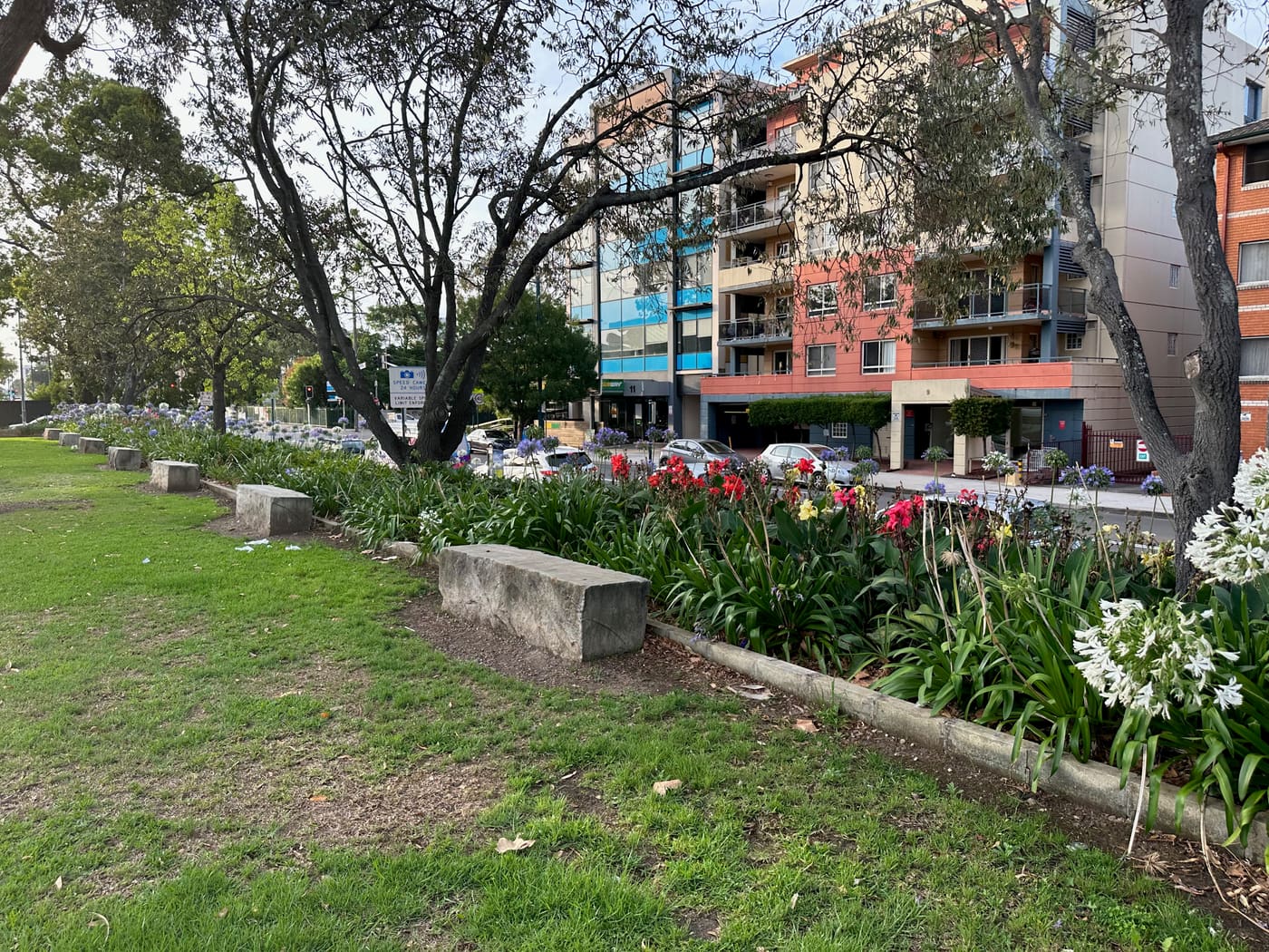 Avenue Planting