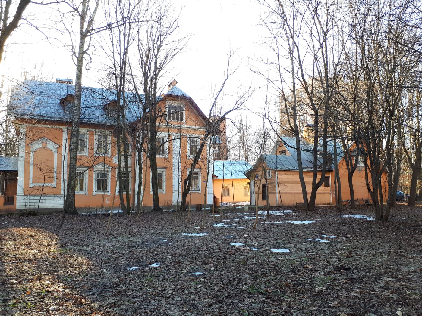 Danilevsky House