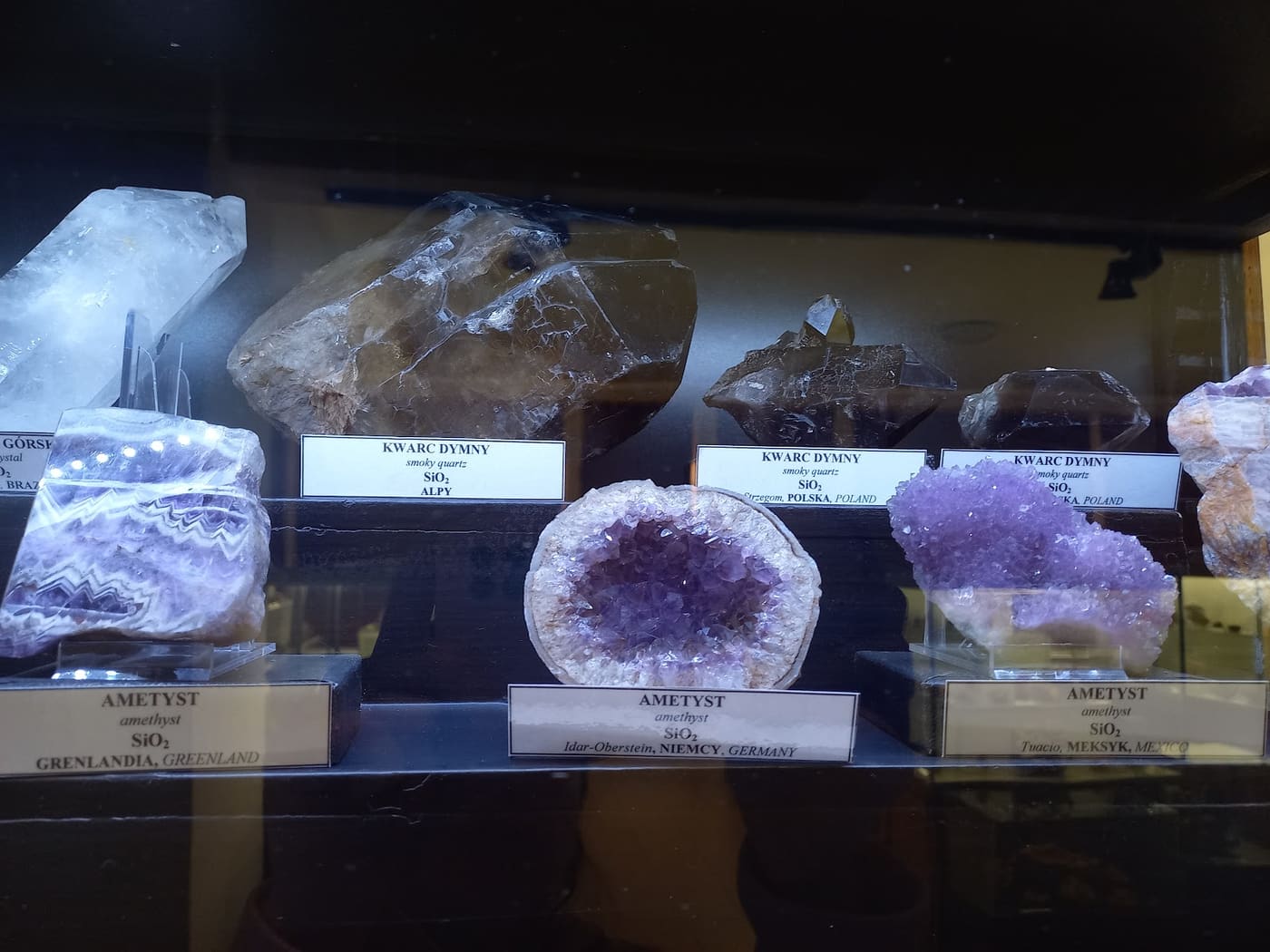 Mineralogical Museum in Wrocław
