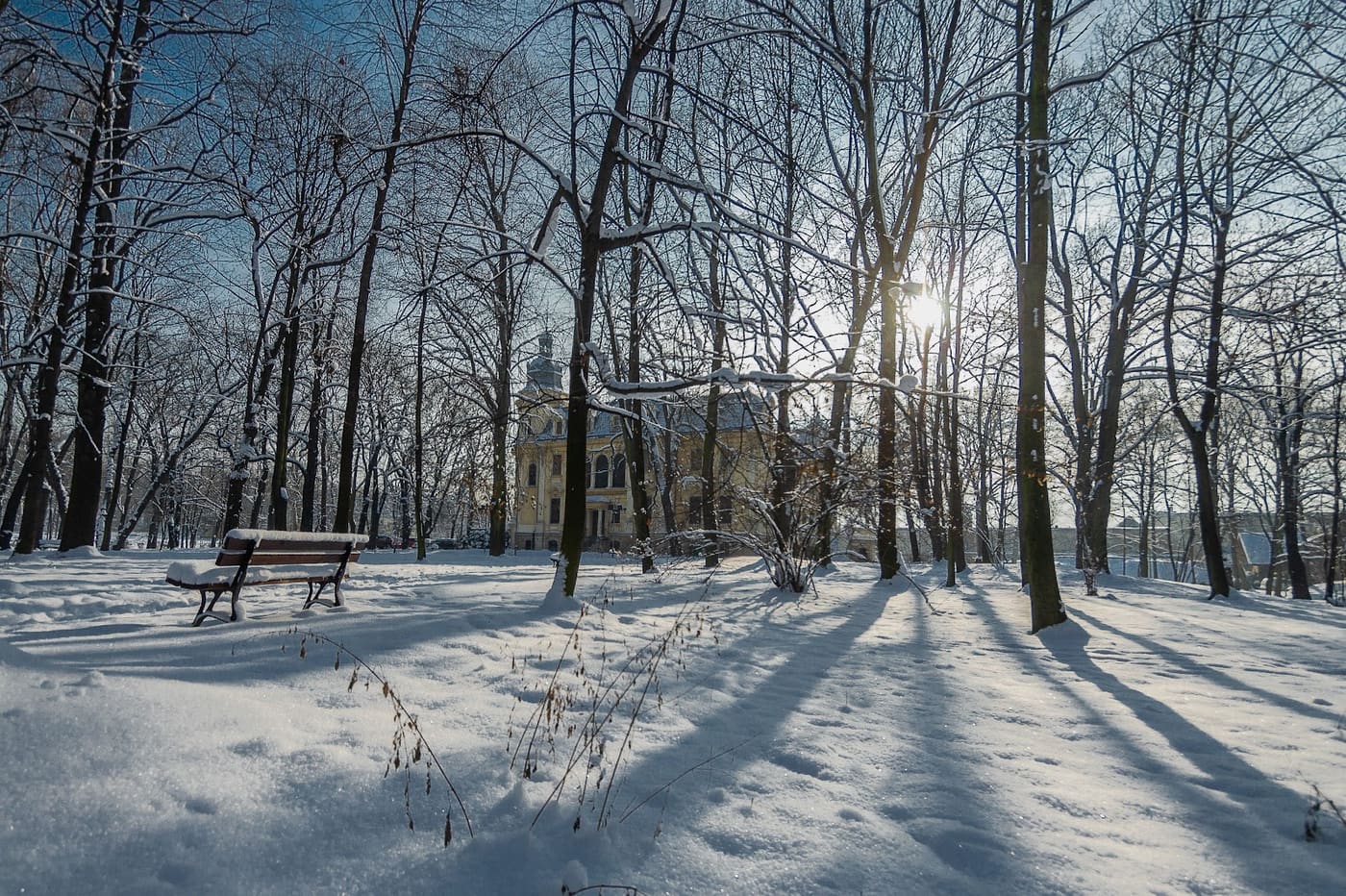 Park-Palace Complex of Schön