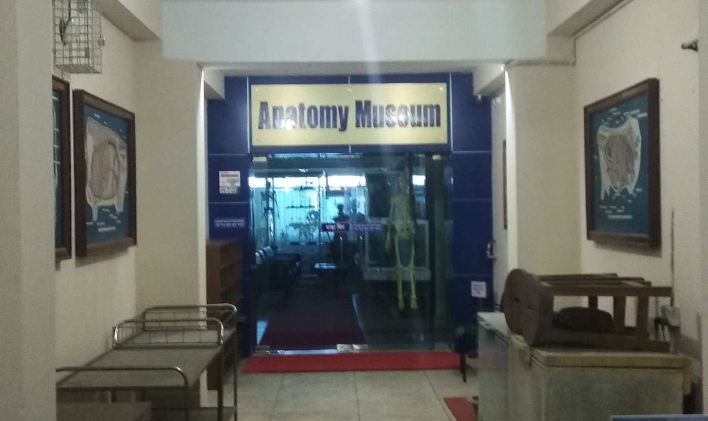 Anatomy Museum, CVASU