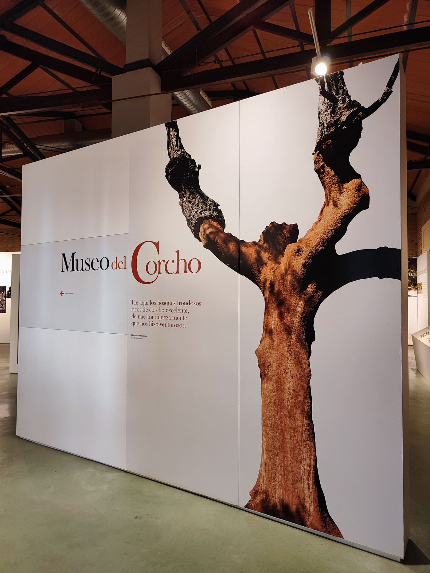 Cork Museum of San Vicente de Alcántara