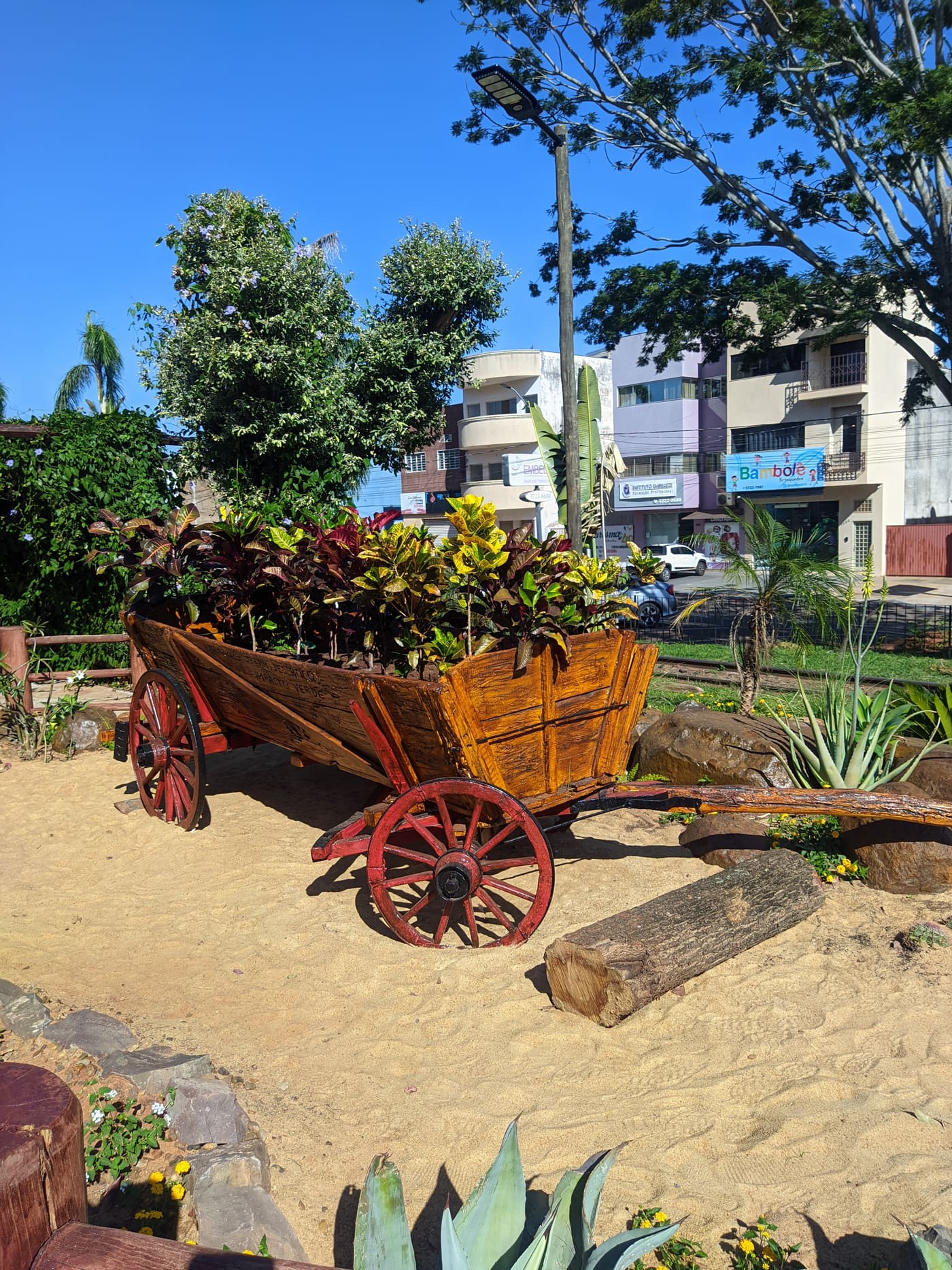 Desert Garden