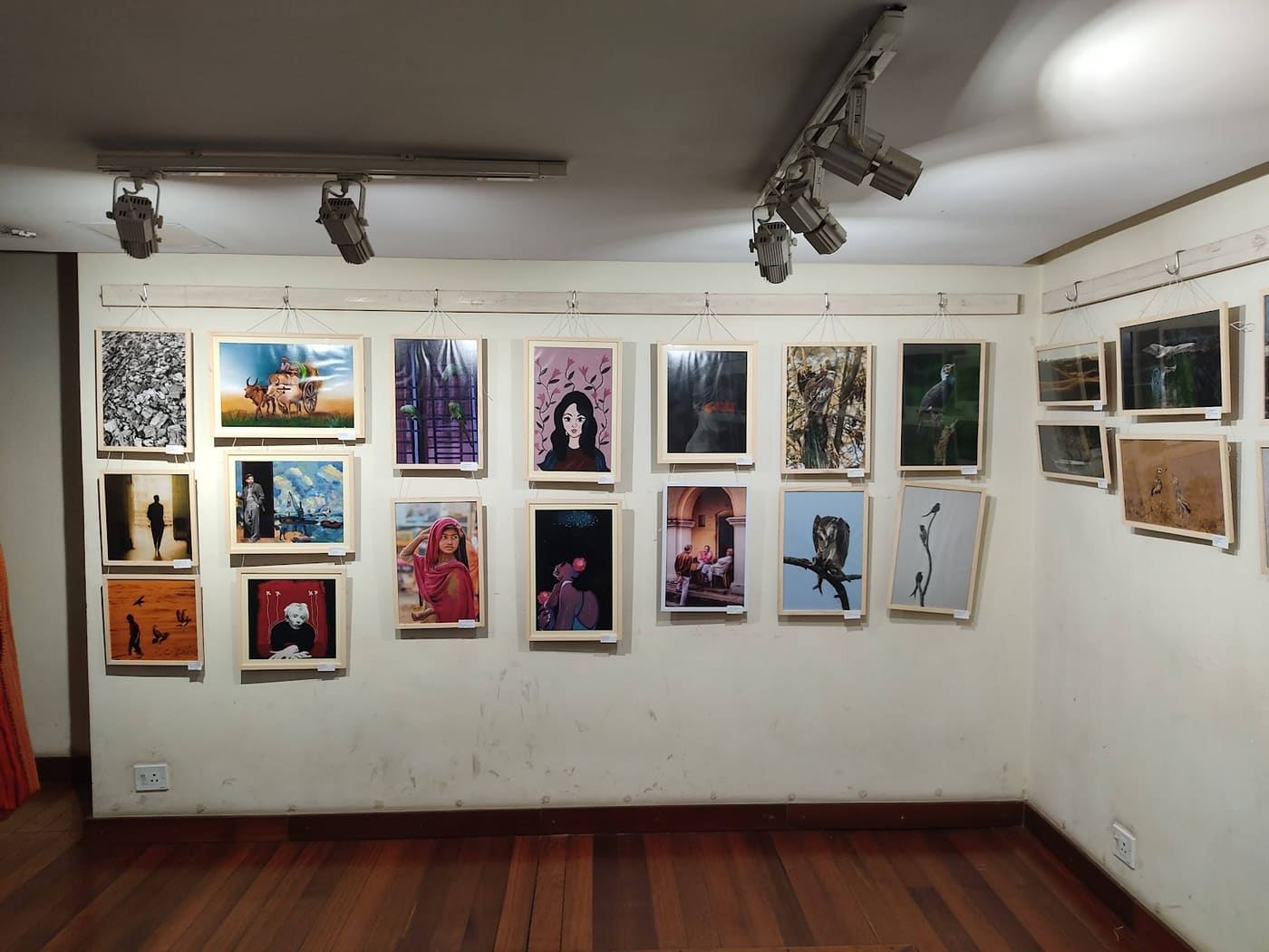 Jamini Roy Museum