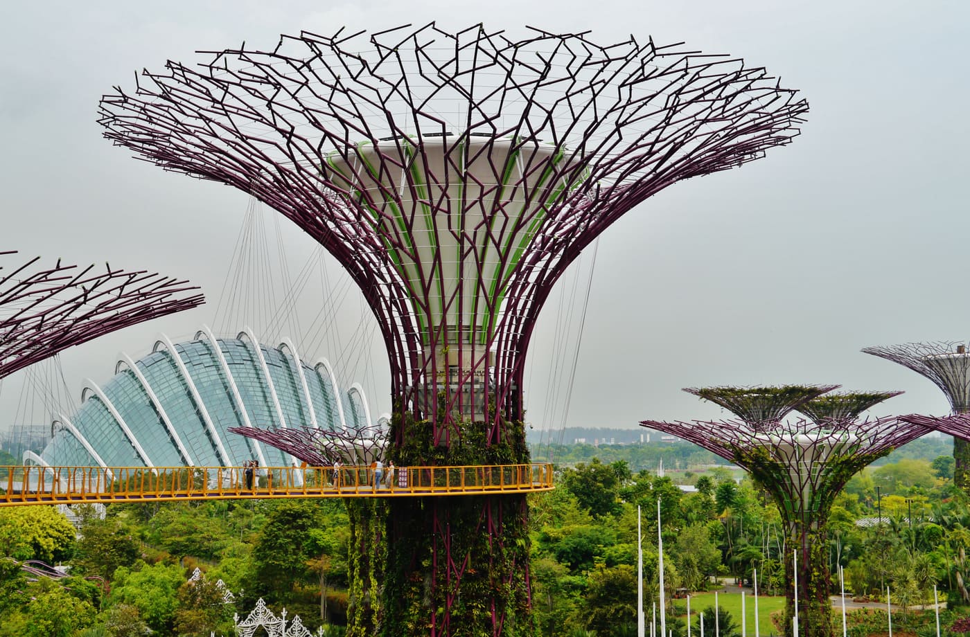 Supertree Grove