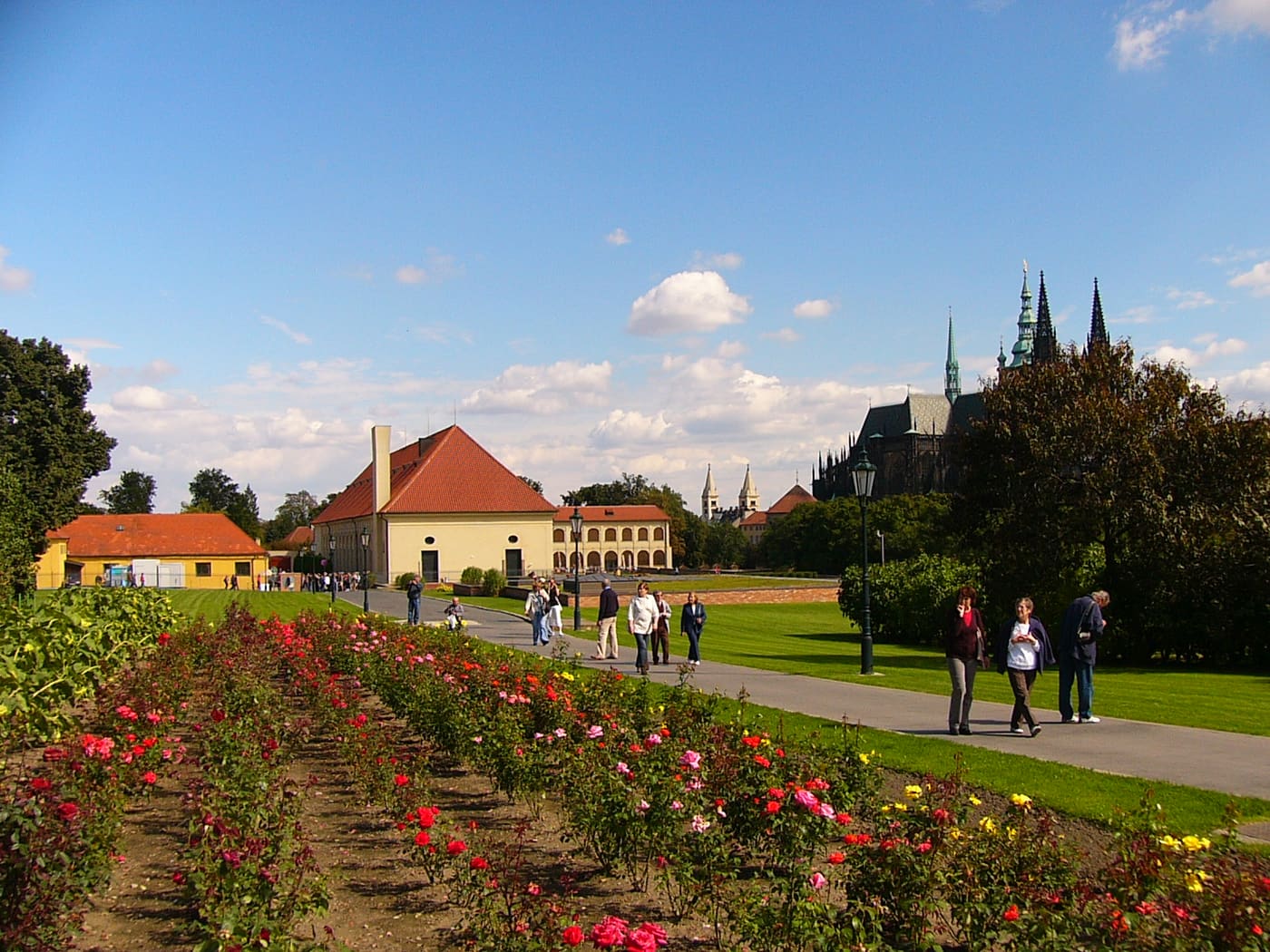 Lumbe's garden