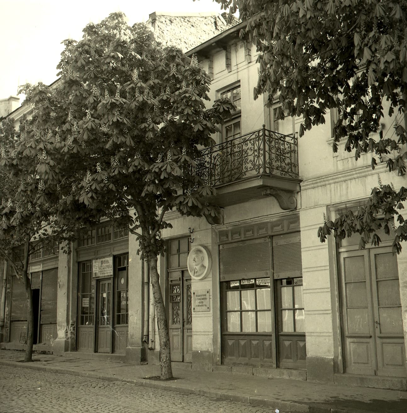 Stanke Dimitrov house