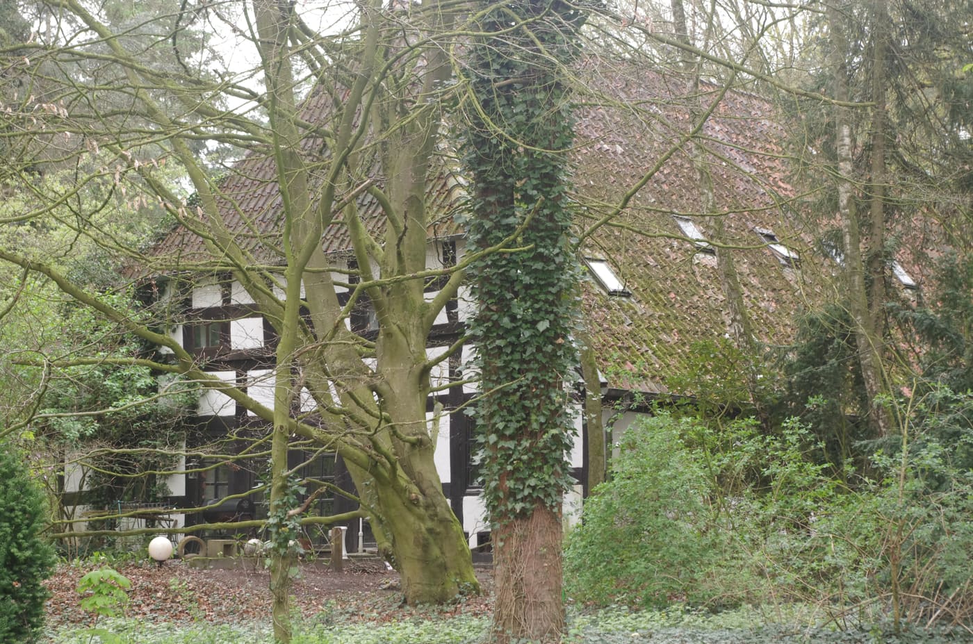 Möhlenhalenbecker Straße 20