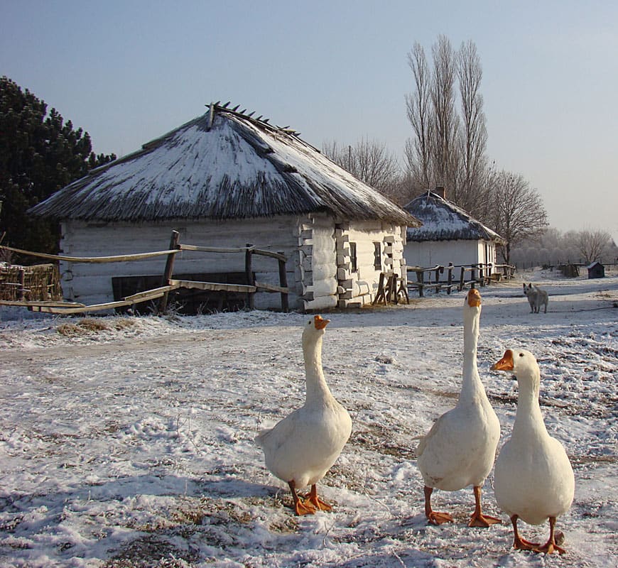 Museum of History of Agriculture in Wolhynia