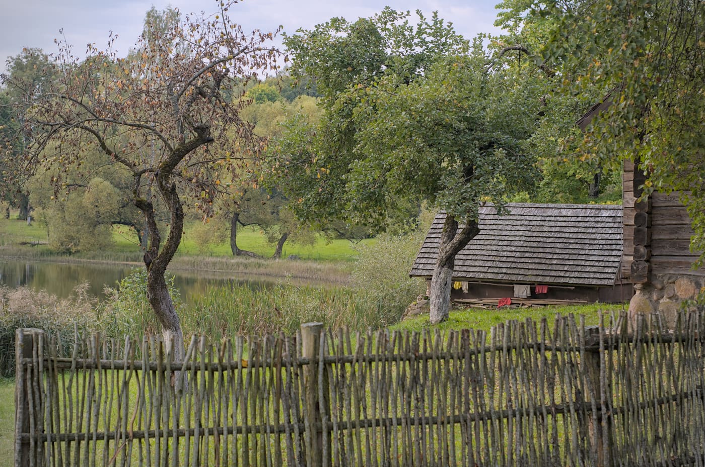 Janka Kupala Memorial "Viazynka"