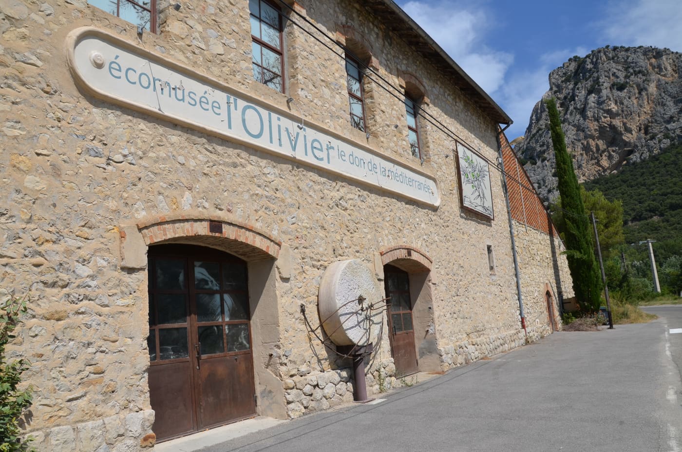 Olive museum