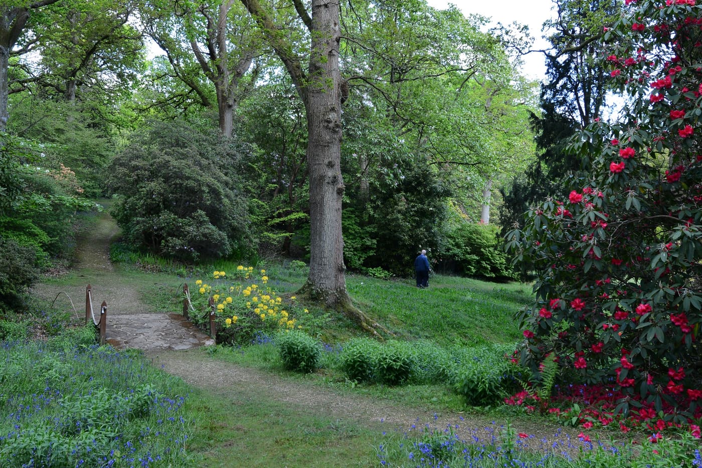 High Beeches Gardens