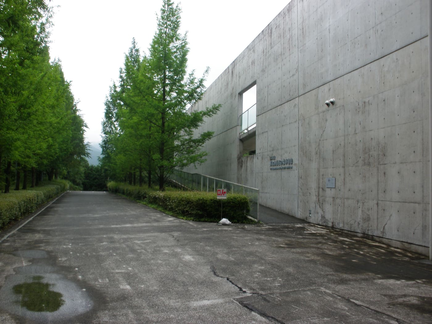 Yokogurayama Natural Forest Museum