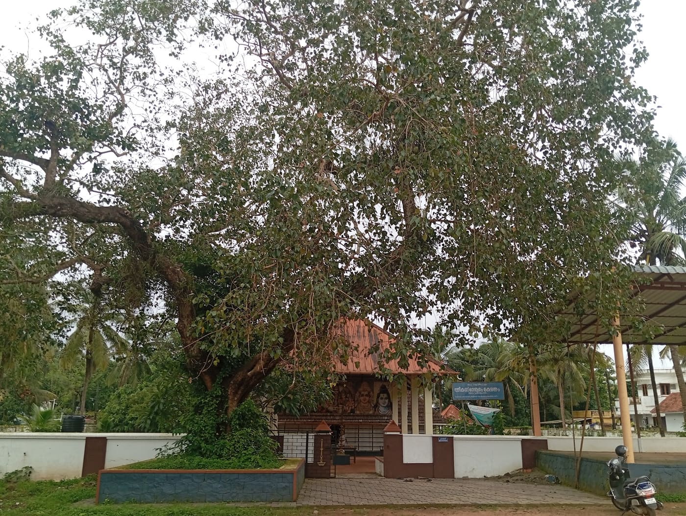 Avanoor Sreekanteswaram Mahadeva Temple